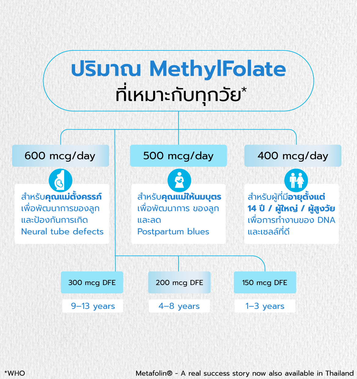 เมทิลโฟเลต (MethylFolate) สำหรับผู้ใหญ่, คนท้อง และทุกเพศทุกวัย, 90 Capsules (Pre-Order for 28 February 2025)