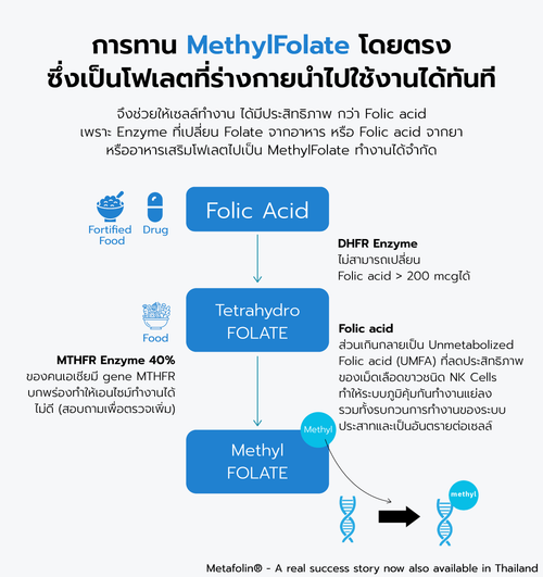 เมทิลโฟเลต (MethylFolate) สำหรับผู้ใหญ่, คนท้อง และทุกเพศทุกวัย, 90 Ca ...