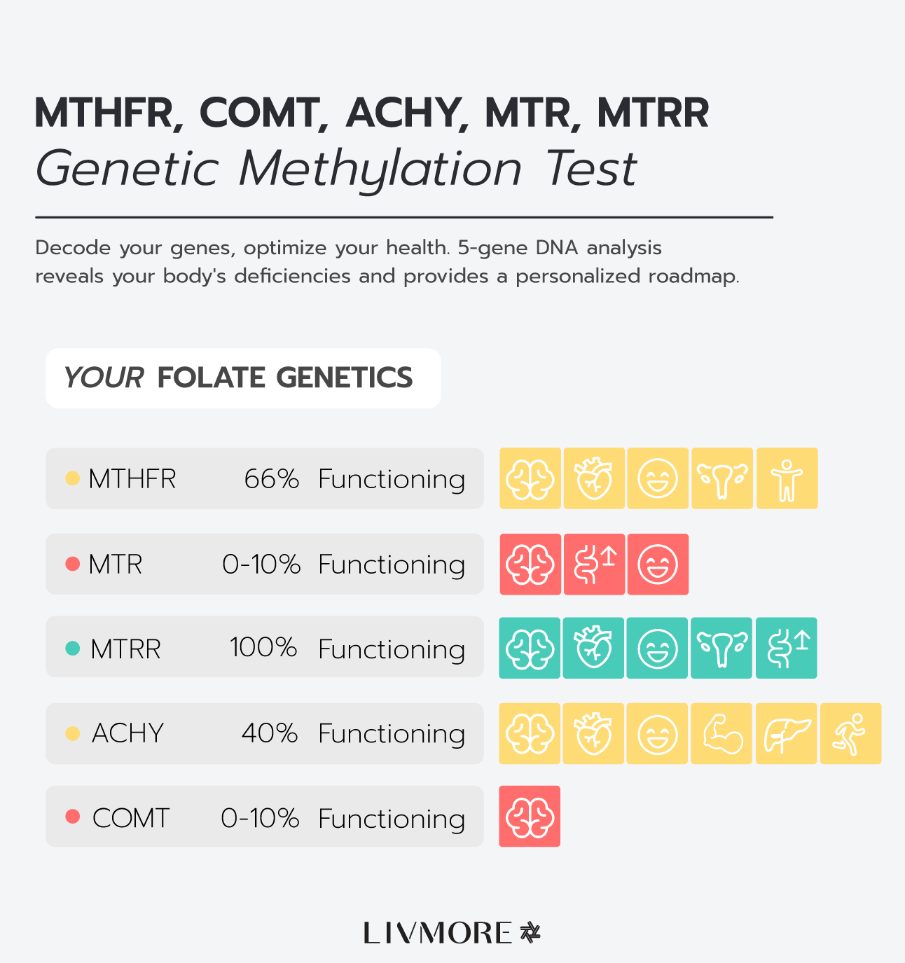 เมทิลเลชั่น Genetic Test Kit